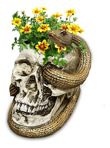 Macetero De Calavera, Maceta Gótica, Maceta Gótica, Jarrón D