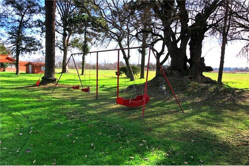 Imagen 13 de 21 de Venta Campo De 195 Ha. En Manzanares Pilar - Único