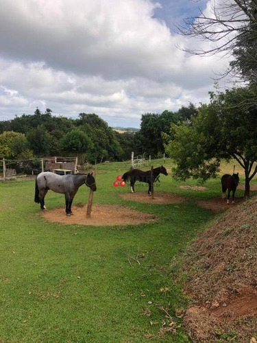 Imagem 19 de 23 de Chácara Com 2 Dormitórios À Venda, 32386 M² Por R$ 2.150.000,00 - Jardim O Bom Pastor - Campo Magro/pr - Ch0050