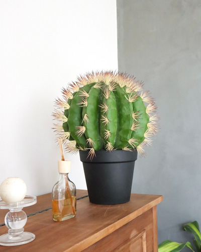 Planta Grande Cactus Artificial En Maceta 50 Cm