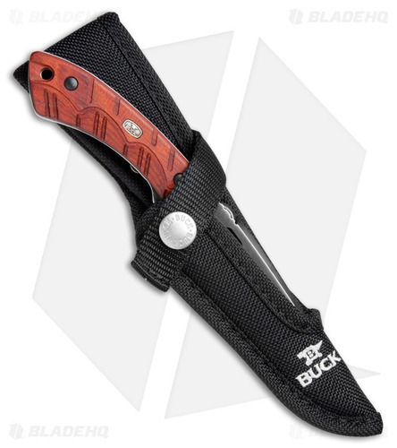 Imagen 4 de 7 de Cuchillo Buck 538 Open Season Small Game 420hc Hoja 10,1cm.