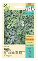 Comprar Ruda Planta, Semillas Para Cultivar Ruda. 115 Semillas 