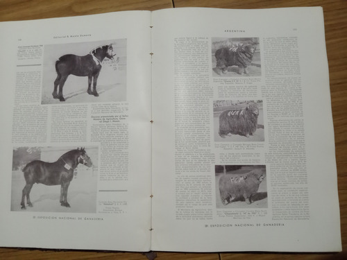 Libro Argentina Edicion 1945 Monte Domecq (Usado)