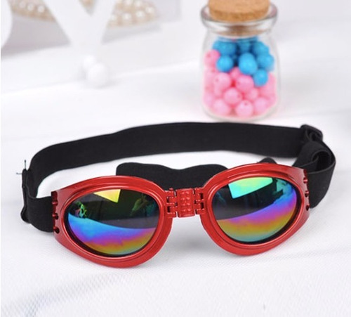 5 Gafas Perros Proteccion Uv Envio Gratis