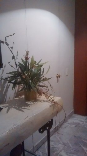 Imagen 4 de 14 de Pent-house De Dos Niveles