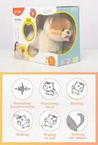 Comprar Cu-compañero Plush Pomerania Pomerania Simulación Pomerania