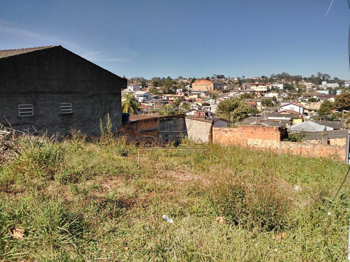 Imagem 5 de 5 de Terreno - Mina Do Mato - Ref: 30169 - V-30167