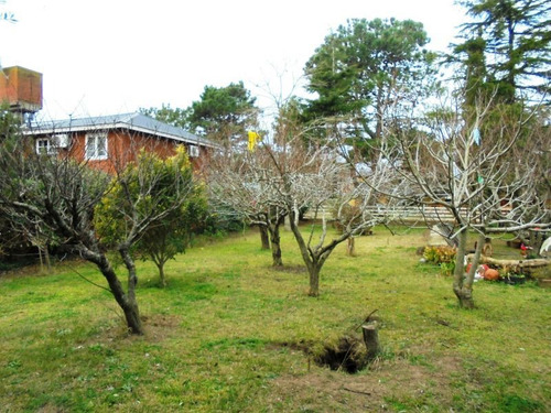 Imagen 5 de 7 de Terreno En Venta En Ezcurra Medrano