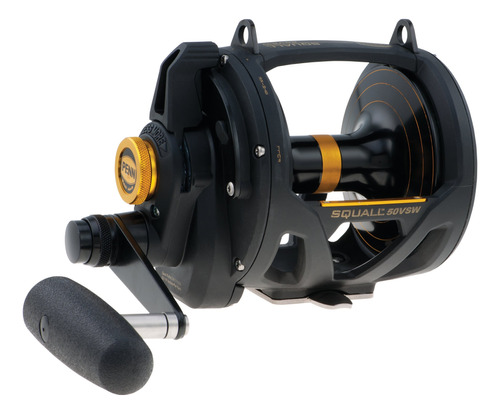 Penn 30vsw Squall Lever Drag 2 Speed Reel, 1035/30, C7ouc