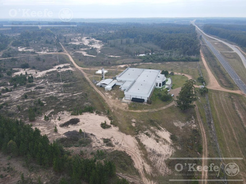 Imagen 2 de 30 de Planta De Acondicionamiento Y Frio En Venta En Concordia Entre Rios - Oportunidad