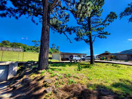 Imagen 2 de 9 de Venta Granja En Borota Ah