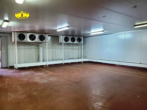 Imagen 7 de 10 de 3117ga- 2795 M2 De Galpones Con 1517 M2 De Frio Ideal Para