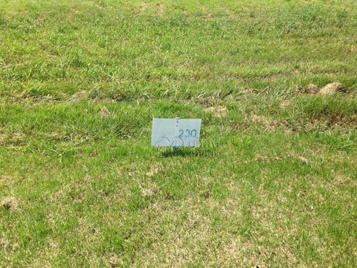 Imagem 2 de 4 de Vendo Terreno No Viverde I Todo Plano, Rio Das Ostras/rj. - Te0504