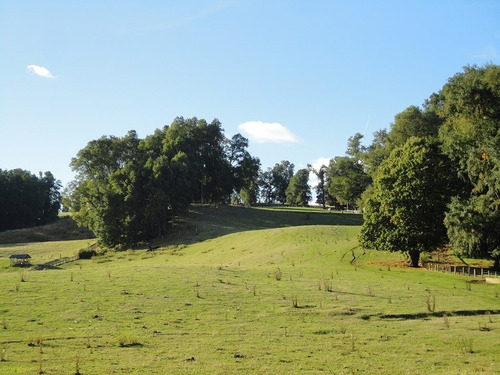 Agrícola En Venta En Malihue, Comuna De Los Lagos