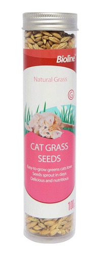 Semillas De Hierba Gatuna Catnip Bioline Hierba Gatera Gatos