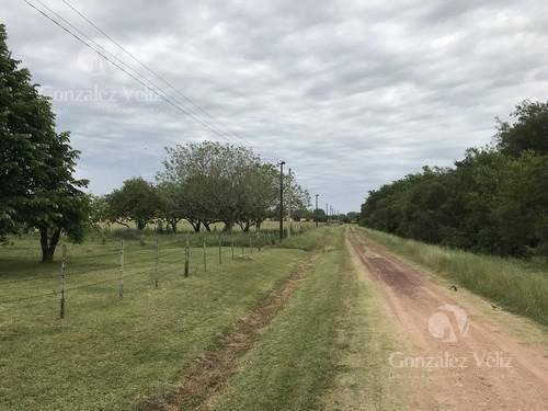 Imagen 1 de 1 de Chacra - Carmelo