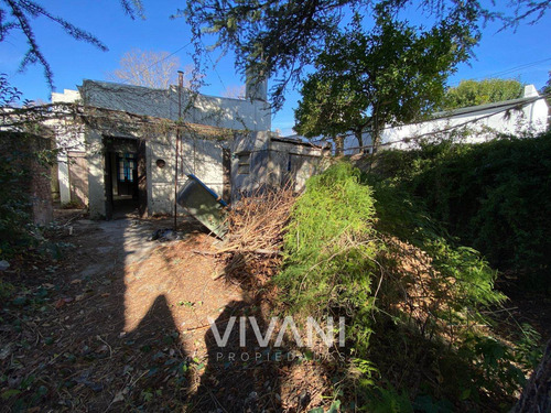 Imagen 13 de 16 de Casa Venta 3 Dorm 37 E/ 1 Y 115. Vivani Propiedades