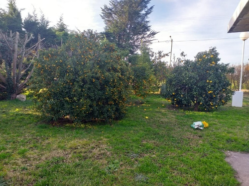 Imagen 19 de 30 de Chacra 5.250m2 Galpon Instalaciones Pque Frutales Quinchos Gge C/4 Chalets