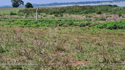 Fazenda Para Venda No Município De Ilha Solteira-sp, Com 165 Alqueires Em Pastagem, Podendo Plantar 160 Alqueires, 7 Km De Margem Rio Parana - Fa00101 - 69268791