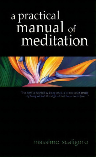 A Practical Manual Of Meditation, De Massimo Scaligero. Editorial Steinerbooks Inc, Tapa Blanda En Inglés