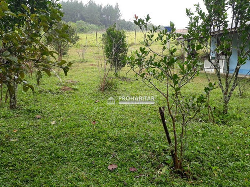 Imagem 12 de 14 de Chácara Rural À Venda, Engenheiro Marsilac, São Paulo - Ch0114. - Ch0114