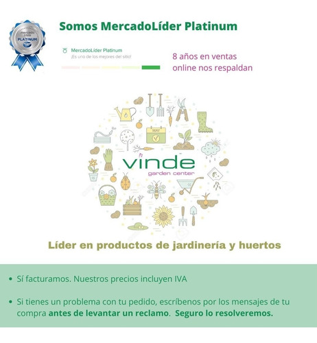 Imagen 2 de 7 de 10 Plantas Suculentas Miniatura. Solo Entregas Cdmx.