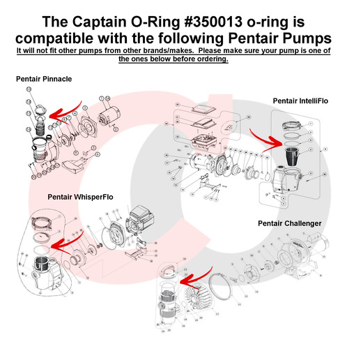 Captain O-ring 350013 Anillo Torico Tapa Para Pentair Bomba