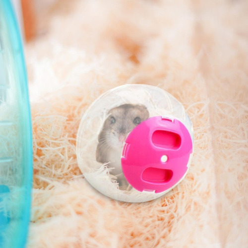 Q Pequeña Bola De Hámster Bola De Ejercicio De Hámster
