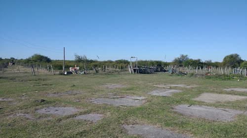 Imagen 8 de 13 de Vendo Urgente Campo 60 Hectáreas En Libertador Corrientes