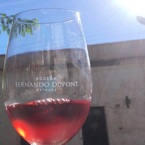Imagen 2 de 10 de Vino Sikuri Syrah 750ml. - Bodega Fernando Dupont, Jujuy