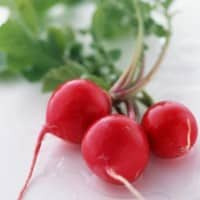 Semillas De Rabanito Cherry Bell (rojo Entero) 500 Grs