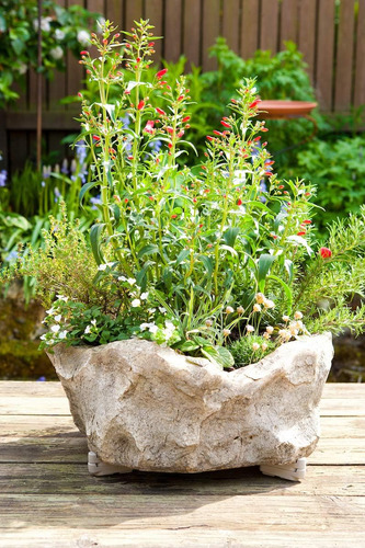 Bosmere Pot Toes, Elevadores Para Macetas Para Interiores Y