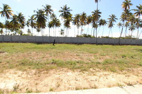 Imagem 7 de 16 de Condomínio Enseada Da Lagoa Terrenos 12 X 30 Com 360 M² - Te0003