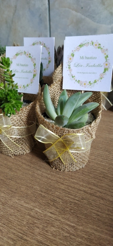 Imagen 3 de 4 de Recuerdos Vivos, Cactus Y Suculentas, Bodas, Bautizos