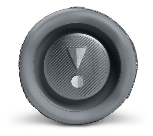 Parlante Jbl Flip 6 Portátil Con Bluetooth Gris