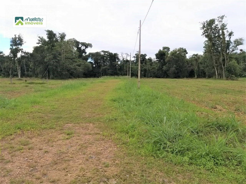Imagem 1 de 4 de Terreno À Venda No Bairro Sitio Do Campo - Morretes/pr - 237