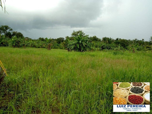 Imagem 13 de 15 de Fazenda À Venda No Vale Do Araguaia - To - De 22 Alqueirões (dupla Aptidão) - 1651