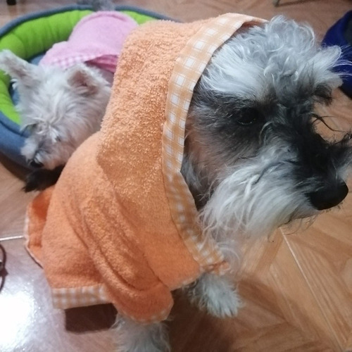 Bata De Baño Con Gorro Para Perro T0 Varios Colores Dogmania