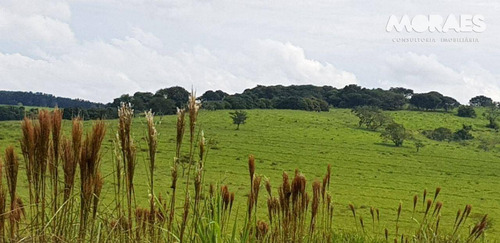 Imagem 14 de 26 de Fazenda Rural À Venda, Zona Rural, Garça. - Fa0003