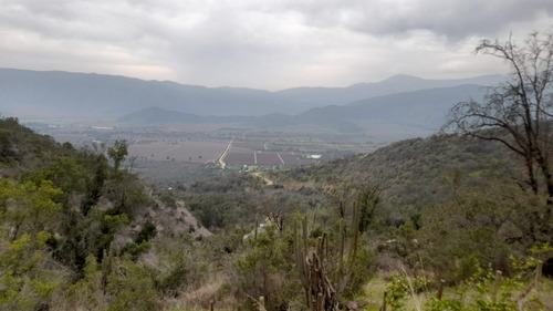 Hermos Parcela, Arboles Nativos, Privilegiada Vista 