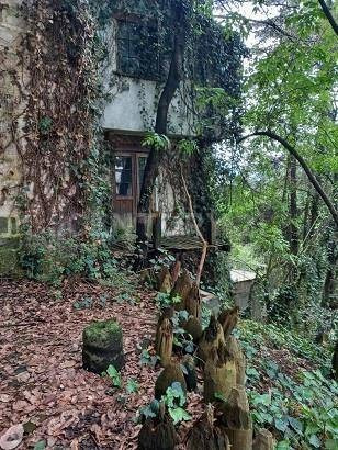 Imagen 7 de 13 de Venta De Terreno 2,385 M2, Desierto De Los Leones, Álvaro Obregón, Cd México.