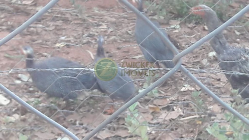 Imagem 28 de 30 de Venda: Chácara Sonho Meu - Santa Rita - Ch00154