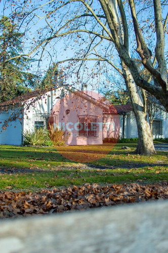 Imagen 9 de 13 de Venta Lote| La Asuncion | Lote Central | 100% Financiación