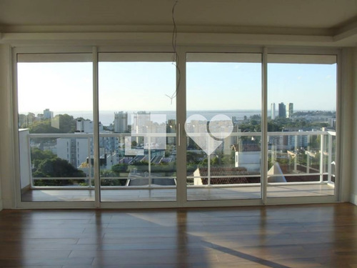 Imagem 7 de 9 de Apartamento - Tristeza - Ref: 7269 - V-255385