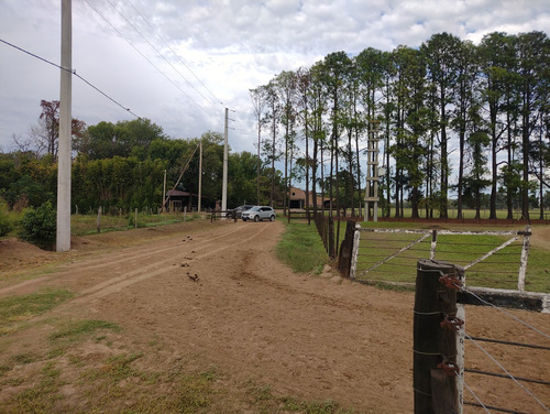 Campo En Venta En Pilar