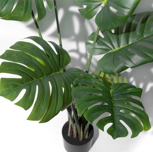 Planta Artificial Grande Decoracion Costilla Monstera