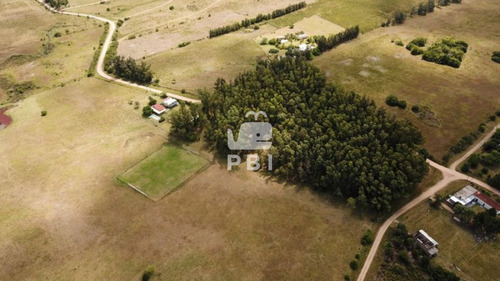 Imagen 23 de 29 de Chacra En Venta Las Vertientes 2 Dormitorios - Ref : Pbi106 - San Carlos Camino De Los Ceibos