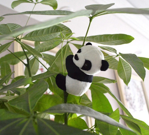 Urso Ursinho Panda 10cm Que Agarra Lembrancinha Festa Evento