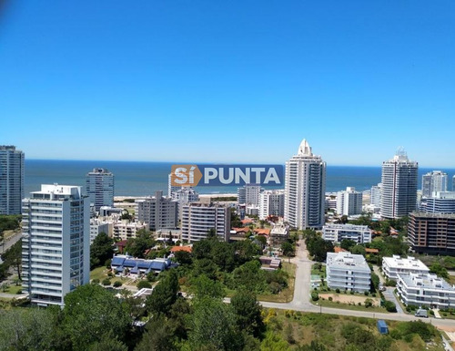 Imagen 10 de 24 de Apartamento En Alquiler Ocean Drive