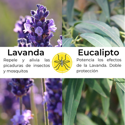 Repelente Mosquitos Insectos Lavanda Eucalipto Atomizador